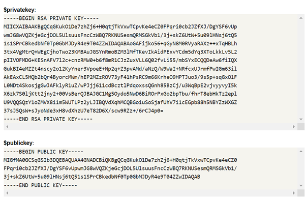 A typical PEM-formatted RSA private key and public key, each a base64-encoded block between BEGIN/END markers.